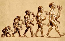 Эволюция и древний человек